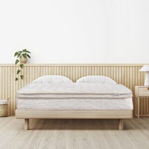 10.5" queen mattress