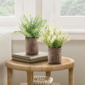 Artificial Plant, Set Of 2, 12" Tall, Mullberry Grass, Table, Brown Cement Pots, Contemporary, Modern