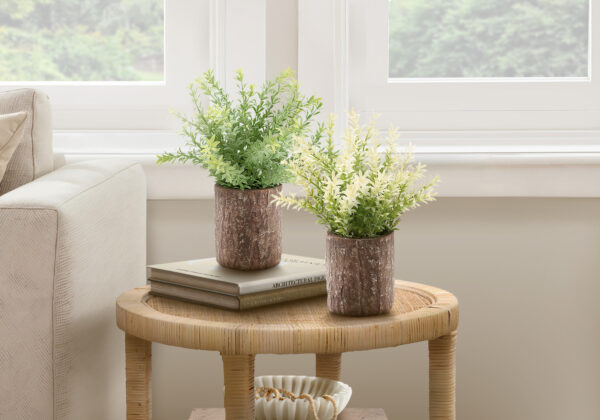 Artificial Plant, Set Of 2, 12″ Tall, Mullberry Grass, Table, Brown Cement Pots, Contemporary, Modern
