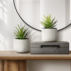 Artificial Plant, Set Of 2, 9" Tall, Succulent, White Cement Pots, Contemporary, Modern