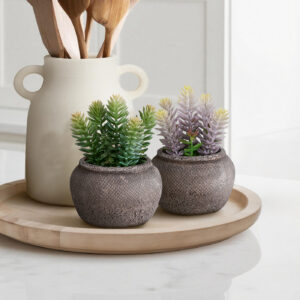 Artificial Plant, Set Of 2, 8" Tall, Succulent, Table, Brown Cement Pots, Contemporary, Modern