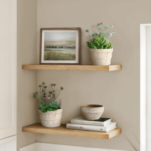Artificial Plant, Set Of 2, 9" Tall, Succulent, Table, Beige Cement Pots, Contemporary, Modern