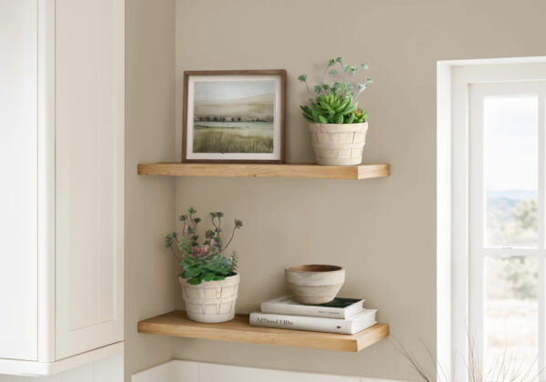 Artificial Plant, Set Of 2, 9″ Tall, Succulent, Table, Beige Cement Pots, Contemporary, Modern