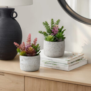 Artificial Plant, Set Of 2, 9" Tall, Succulent, Table, Grey Cement Pots, Contemporary, Modern