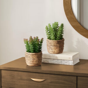 Artificial Plant, Set Of 2, 7" Tall, Succulent, Table, Brown Cement Pots, Contemporary, Modern