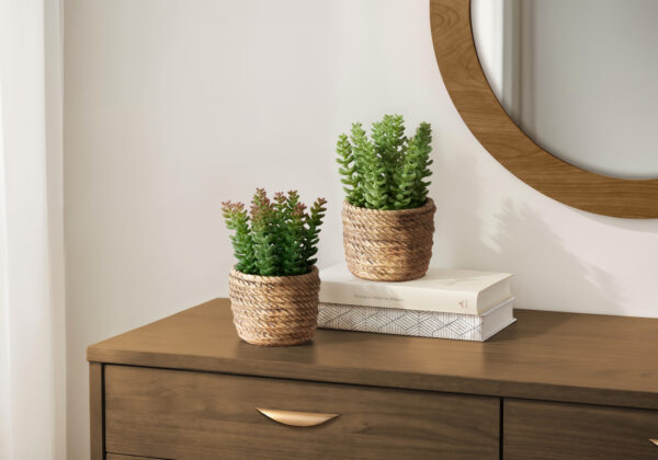 Artificial Plant, Set Of 2, 7″ Tall, Succulent, Table, Brown Cement Pots, Contemporary, Modern