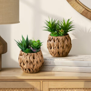 Artificial Plant, Set Of 2, 9" Tall, Succulent, Table, Brown Woven Basket, Contemporary, Modern