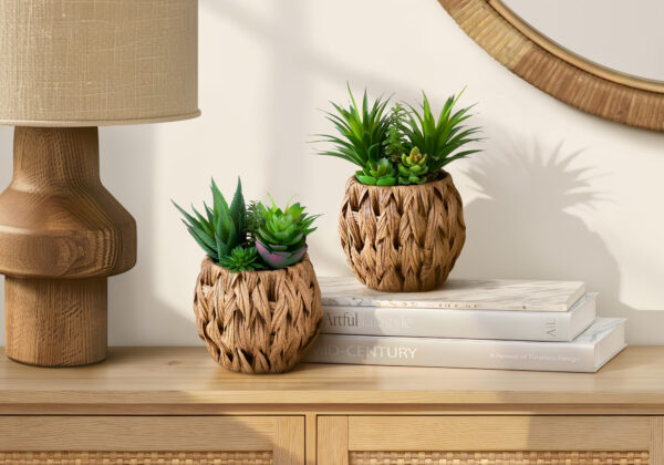 Artificial Plant, Set Of 2, 9″ Tall, Succulent, Table, Brown Woven Basket, Contemporary, Modern