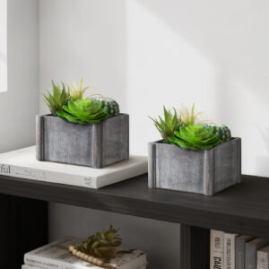 Artificial Plant, Set Of 2, 8" Tall, Succulent, Table, Grey Wooden Pots, Contemporary, Modern