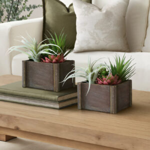 Artificial Plant, Set Of 2, 10" Tall, Succulent, Table, Brown Wooden Pots, Contemporary, Modern