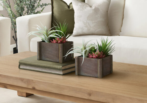 Artificial Plant, Set Of 2, 10″ Tall, Succulent, Table, Brown Wooden Pots, Contemporary, Modern