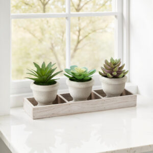 Artificial Plant, Set Of 3, 6" Tall, Succulent, Table, Beige Pots, Contemporary, Modern