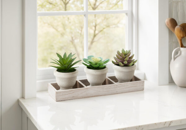 Artificial Plant, Set Of 3, 6″ Tall, Succulent, Table, Beige Pots, Contemporary, Modern