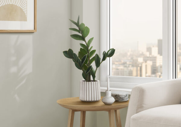 Artificial Plant, 20″ Tall, Zz, Indoor, Faux, Fake, Table, Greenery, Potted, Real Touch, Decorative, Green Leaves, Grey Cement Pot