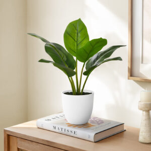 Artificial Plant, 17" Tall, Aureum, Indoor, Faux, Fake, Table, Greenery, Potted, Real Touch, Decorative, Green Leaves, White Pot