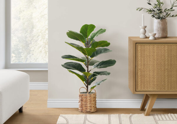 Artificial Plant, 28″ Tall, Fiddle Tree, Indoor, Faux, Fake, Floor, Greenery, Potted, Real Touch, Decorative, Green Leaves, Beige Woven Basket