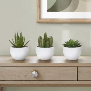 Artificial Plant, 6" Tall, Succulent, Indoor, Faux, Fake, Table, Greenery, Potted, Set Of 3, Decorative, Green Plants, White Pots