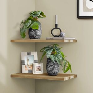 Artificial Plant, 8" Tall, Alocasia, Indoor, Faux, Fake, Table, Greenery, Potted, Set Of 2, Decorative, Green Leaves, Black Cement Pots
