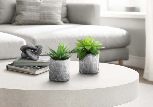 Artificial Plant, 6″ Tall, Succulent, Indoor, Faux, Fake, Table, Greenery, Potted, Set Of 2, Decorative, Green Leaves, Grey Cement Pots