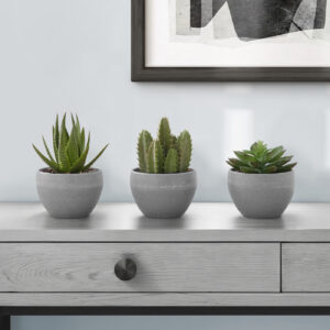 Artificial Plant, 6" Tall, Succulent, Indoor, Faux, Fake, Table, Greenery, Potted, Set Of 3, Decorative, Green Plants, Grey Cement Pots